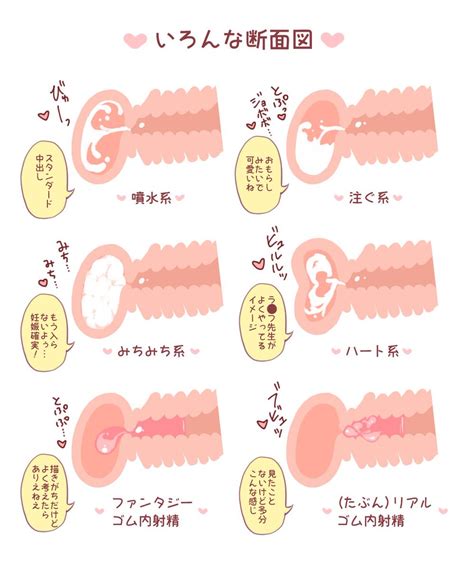 中出し 断面|【膣内断面図】 膣内で生ちんぽ受精中がしっかりと分かる断面。